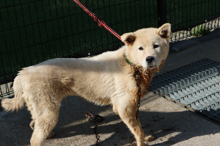 제주 동물보호센터_450650202301834