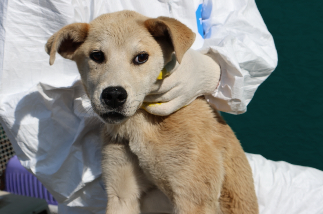 제주 동물보호센터_450650202301829