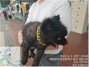 대전동물보호센터_430365202300265
