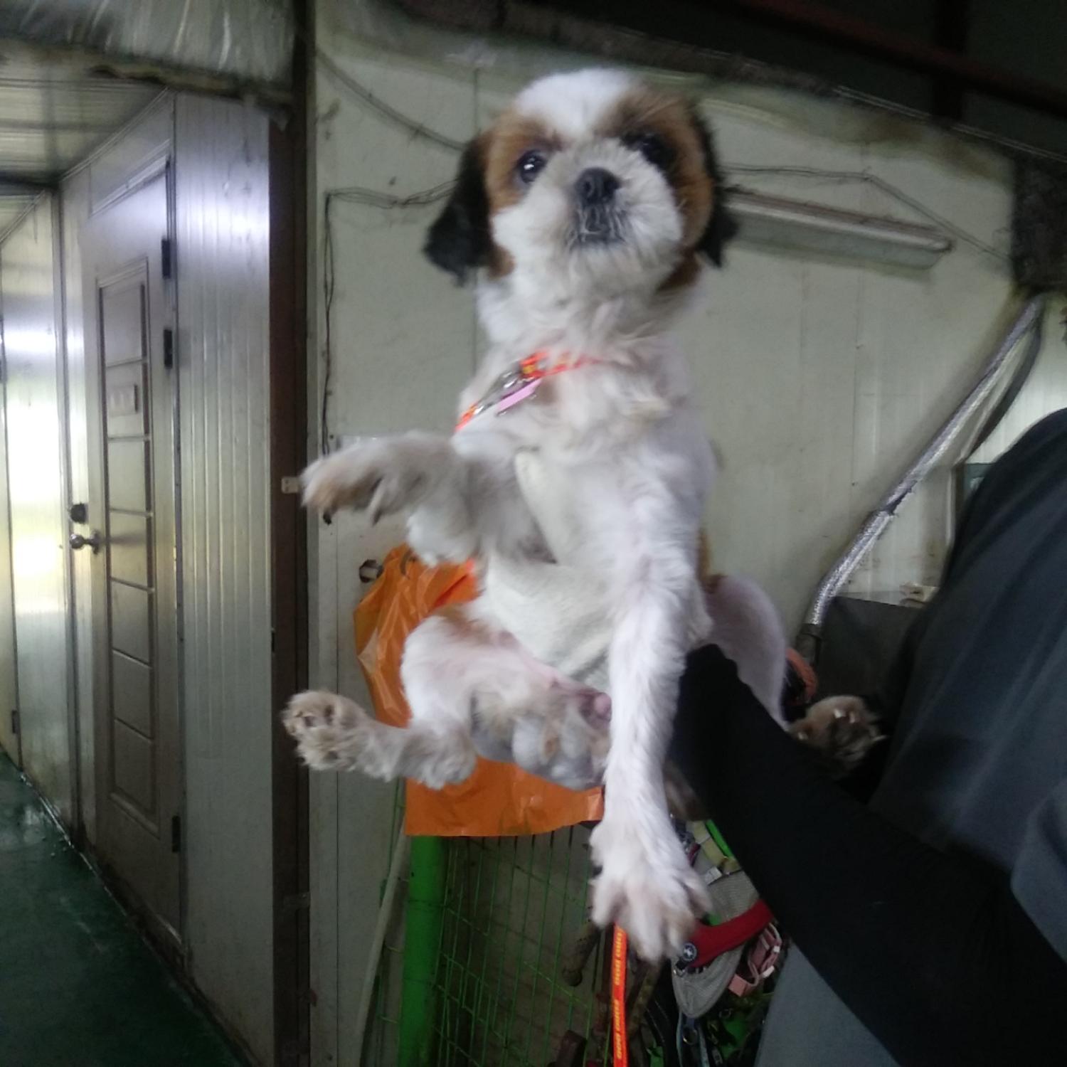 인천광역시수의사회_428351202300457