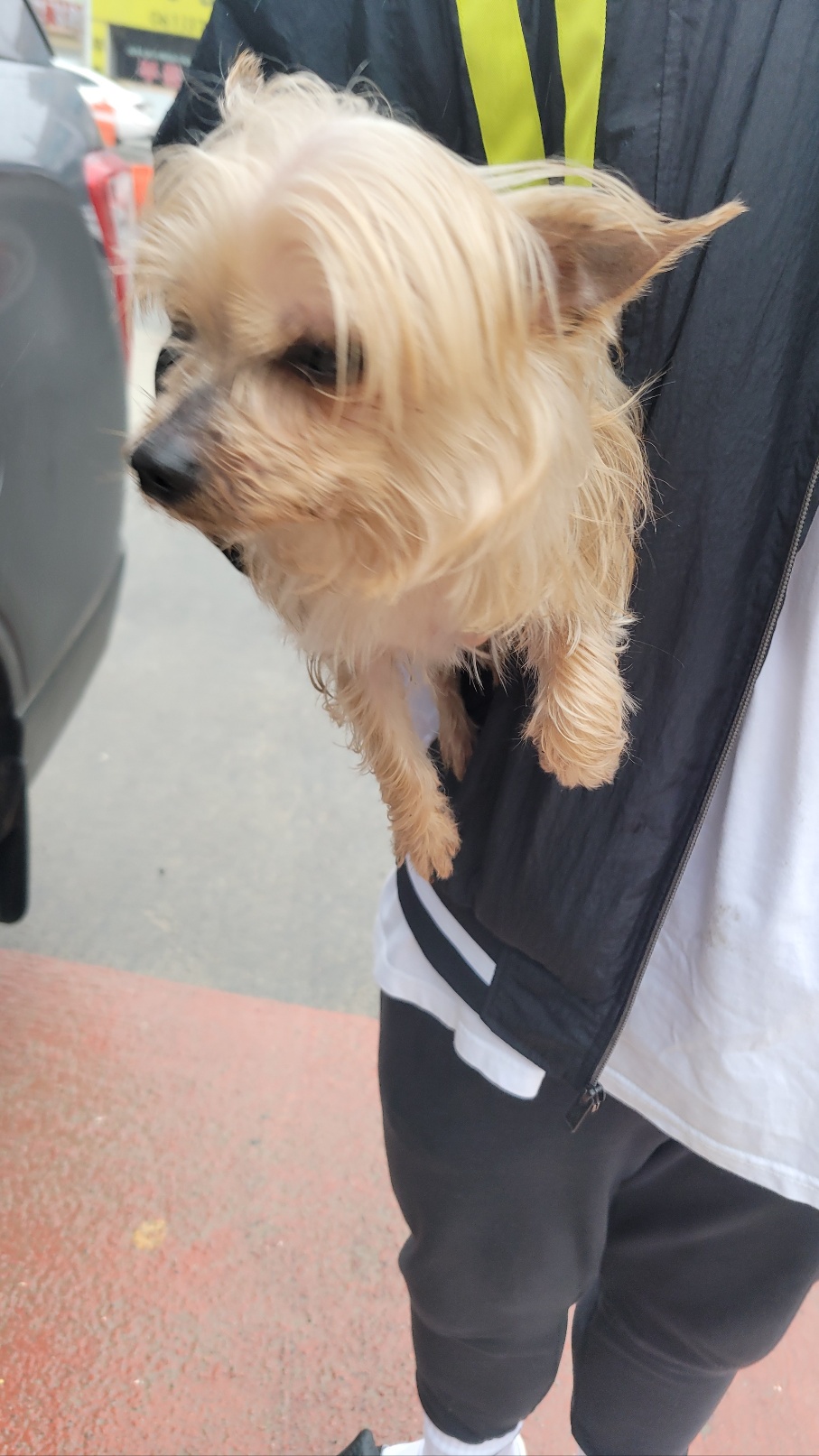 화순군유기동물보호소_446490202300126