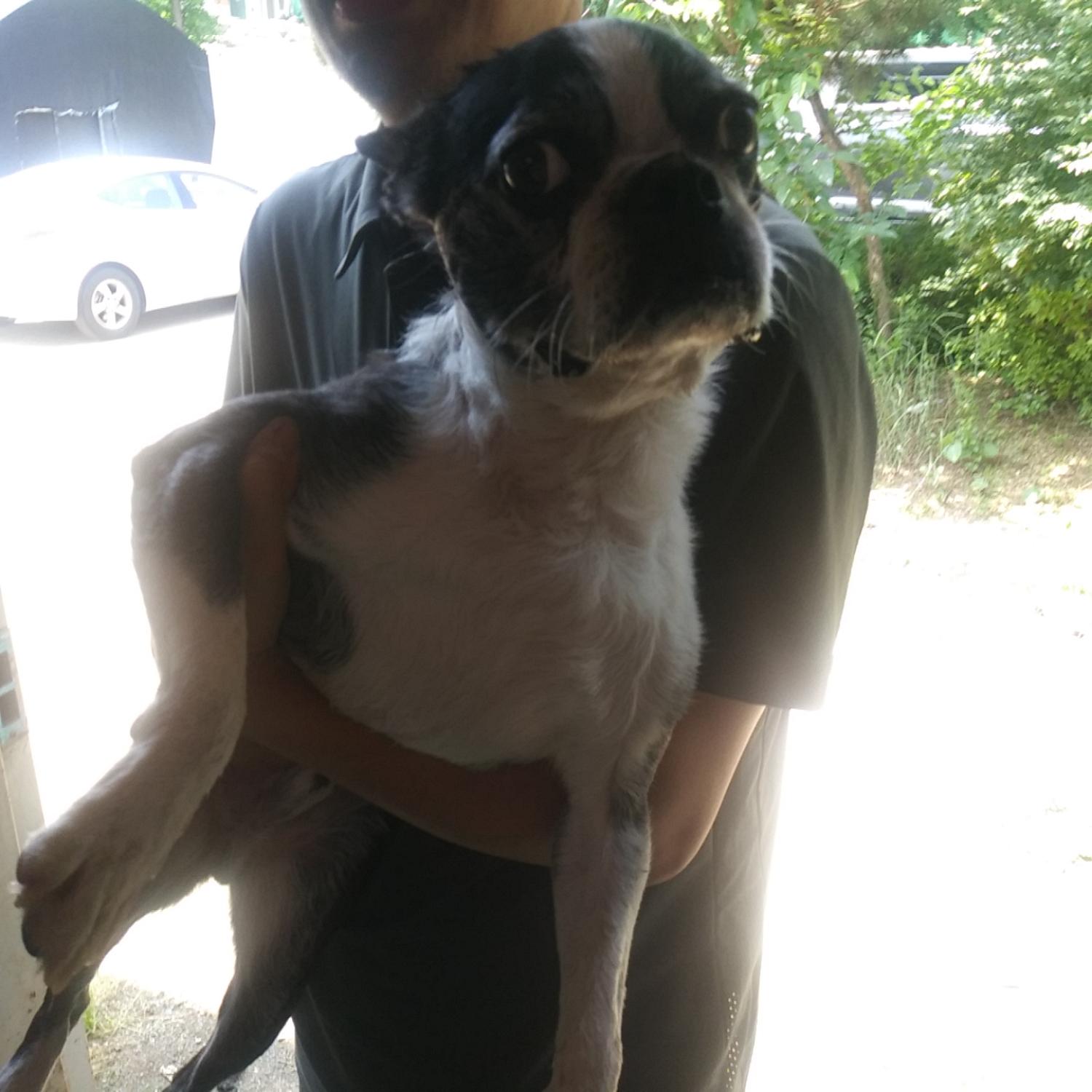 인천광역시수의사회_428351202300456