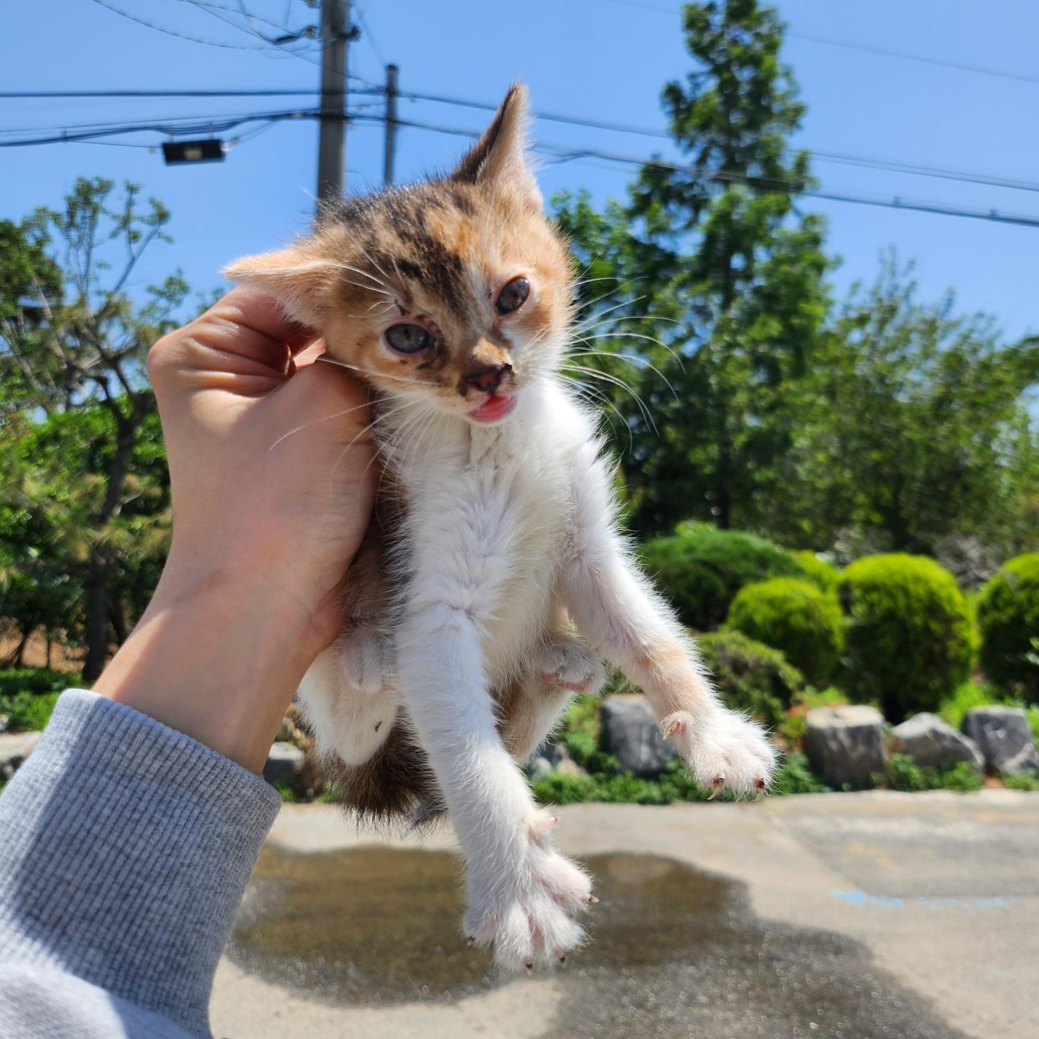 부산동물보호센터_426332202300218