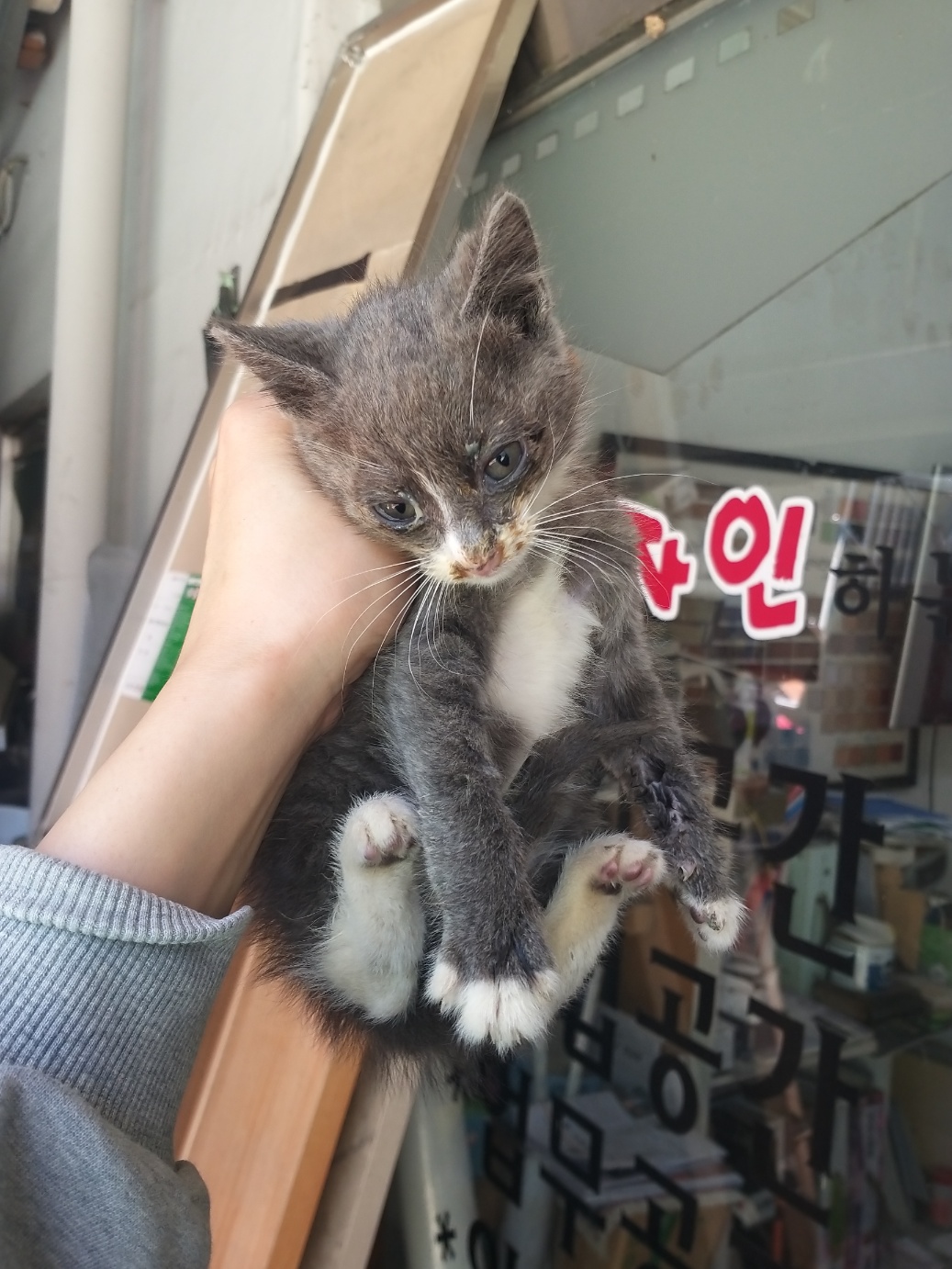 부산동물보호센터_426332202300219