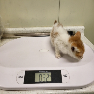 누리동물병원_426330202300115