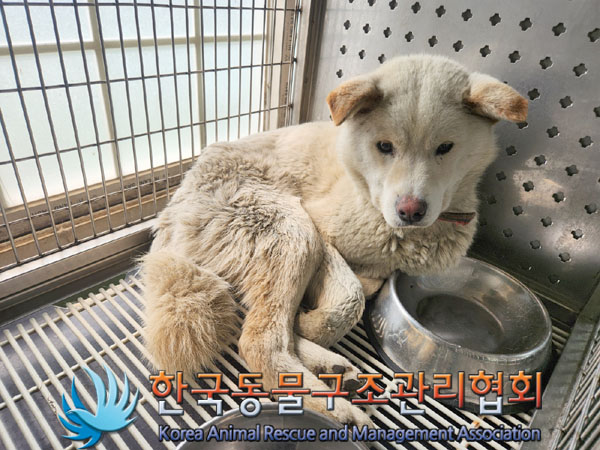한국동물구조관리협회_441409202300912