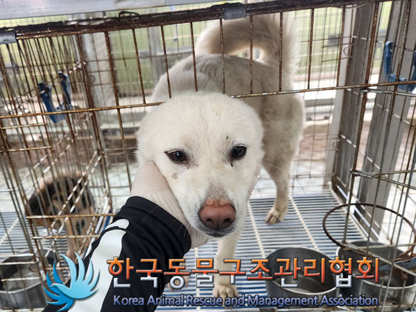 한국동물구조관리협회_441560202300714
