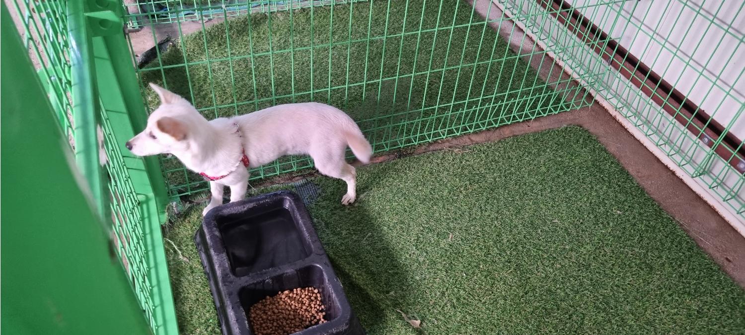 무주군_445474202300094