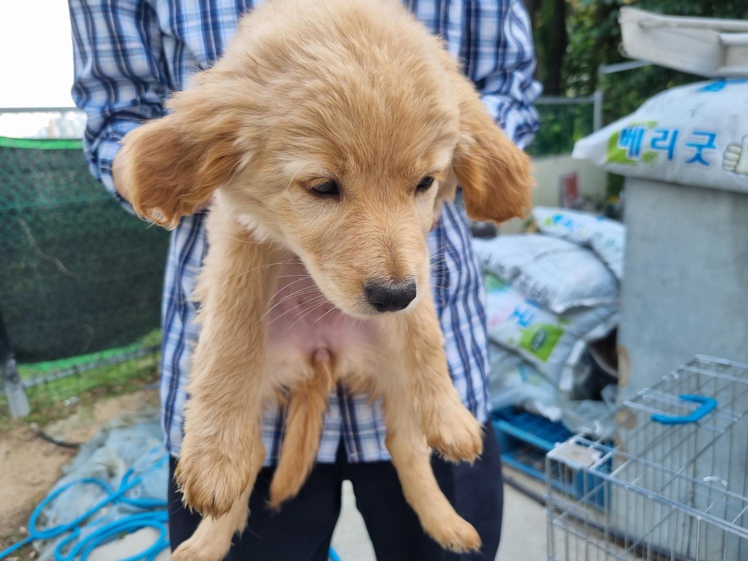 양산시 동물보호센터_448538202300323