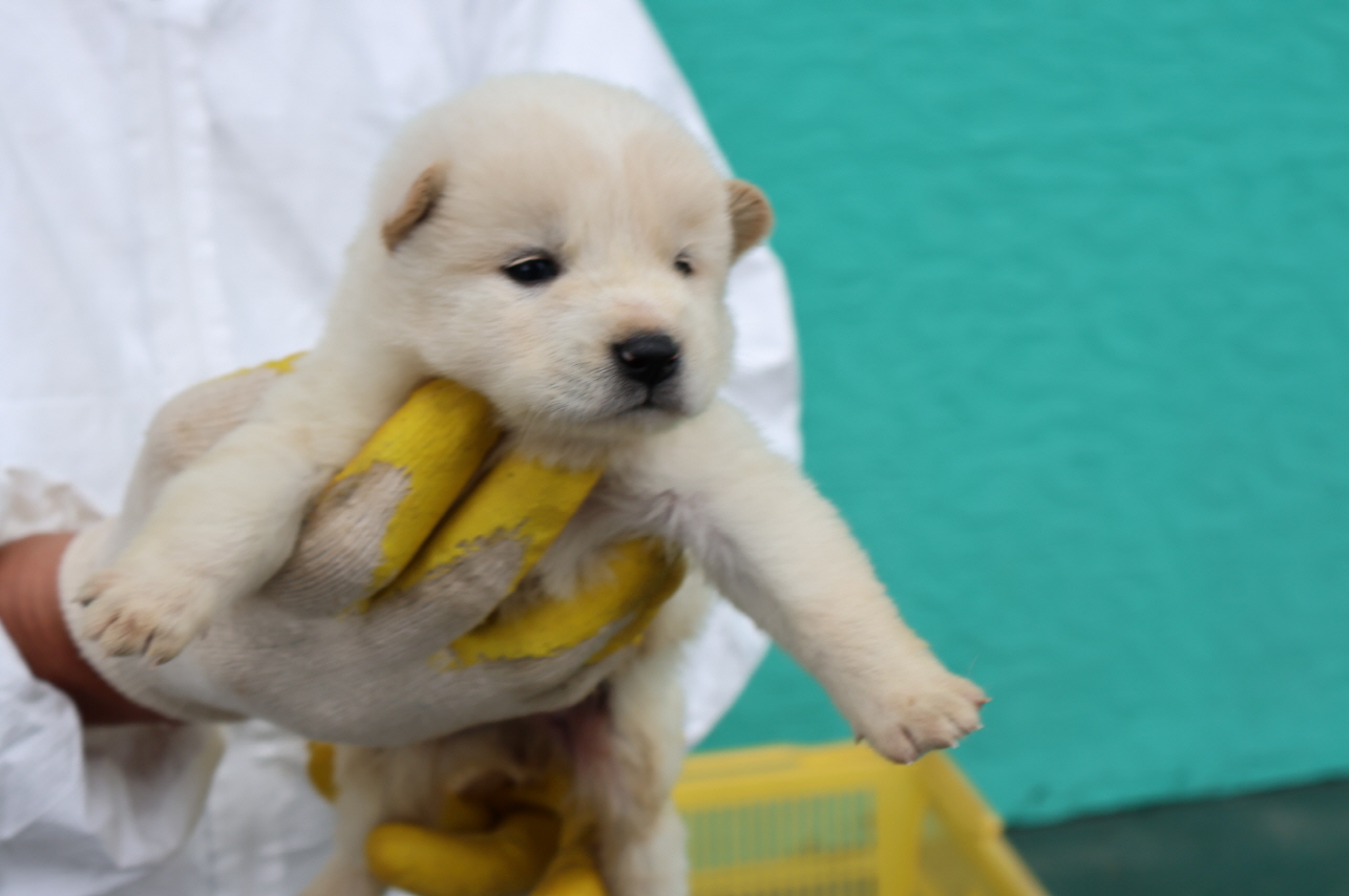 제주 동물보호센터_450650202301847
