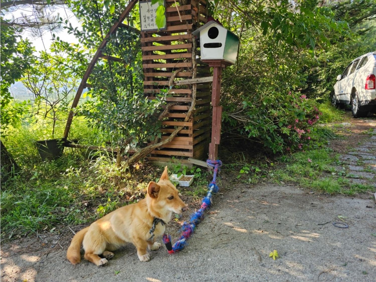 영주시 동물보호센터_447509202300104