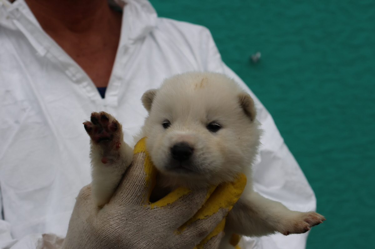 제주 동물보호센터_450650202301850