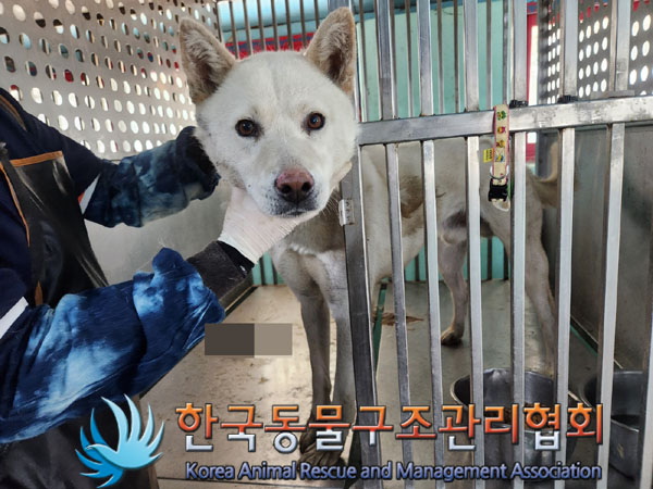 한국동물구조관리협회_441414202300383