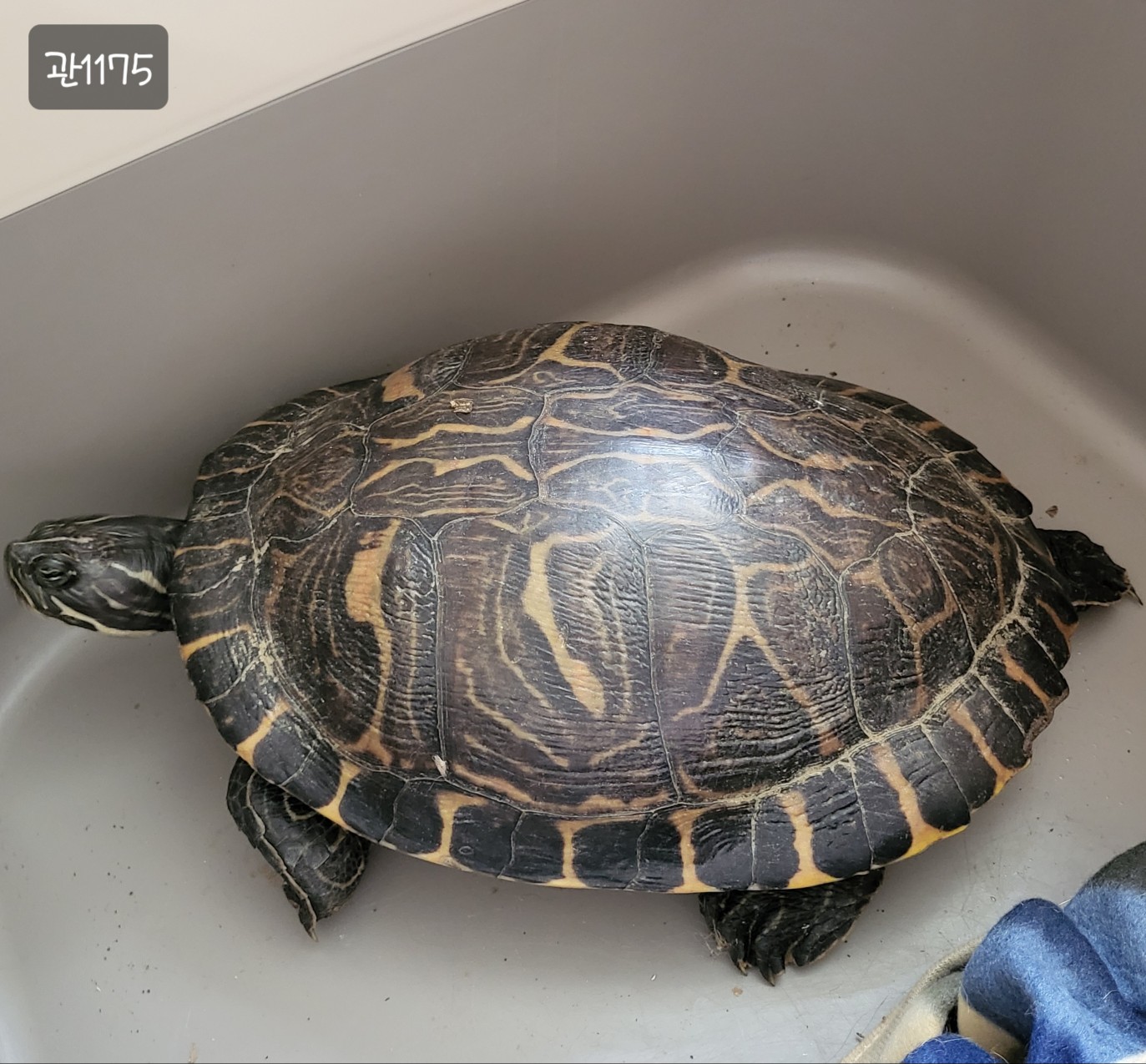 고양시동물보호센터_441394202301175