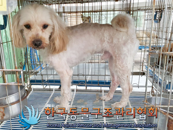 한국동물구조관리협회_411318202300260