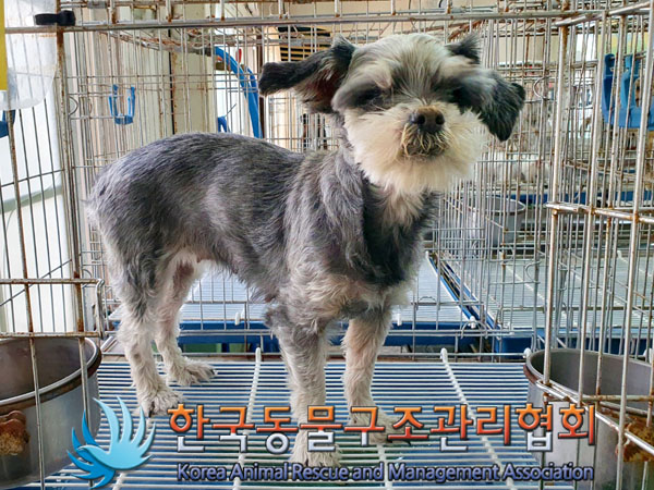 한국동물구조관리협회_411315202300377