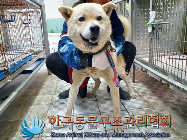 한국동물구조관리협회_441406202300795