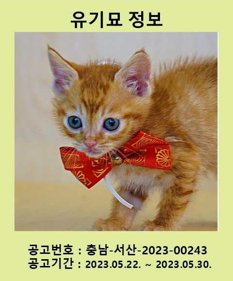 서산시 동물보호센터_444453202300345
