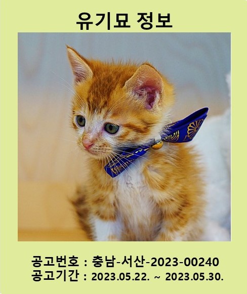 서산시 동물보호센터_444453202300342