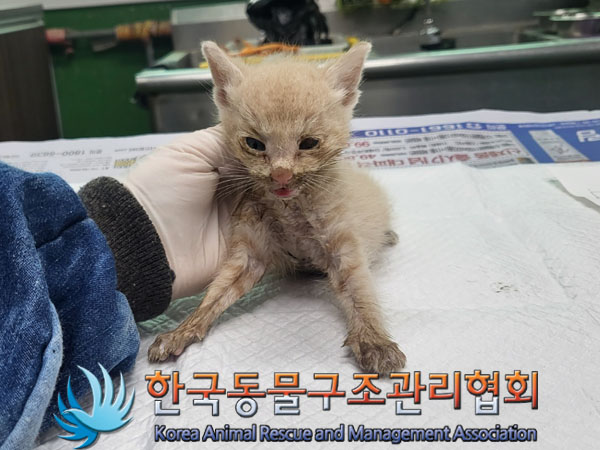 한국동물구조관리협회_411311202300489