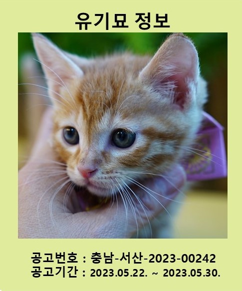 서산시 동물보호센터_444453202300344