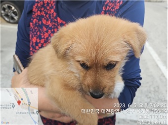 대전동물보호센터_430365202300267