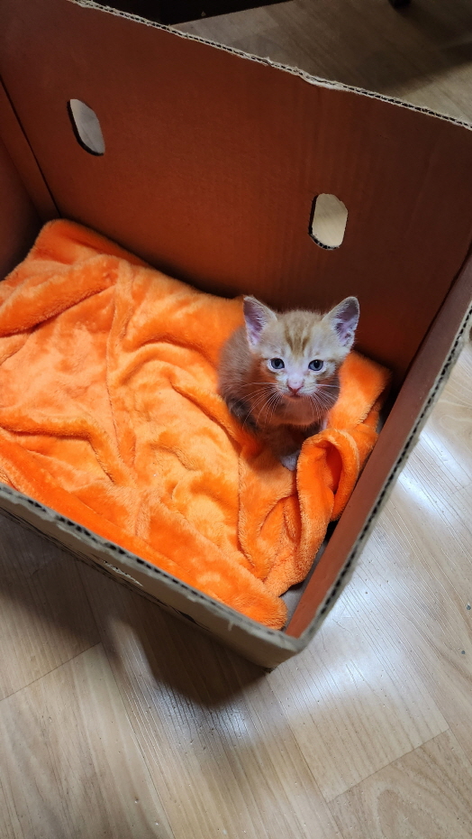 익산유기동물보호소_445468202301237