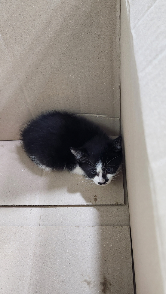 익산유기동물보호소_445468202301235