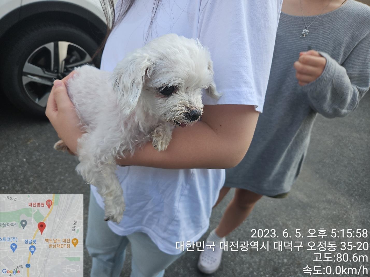 대전동물보호센터_430368202300275