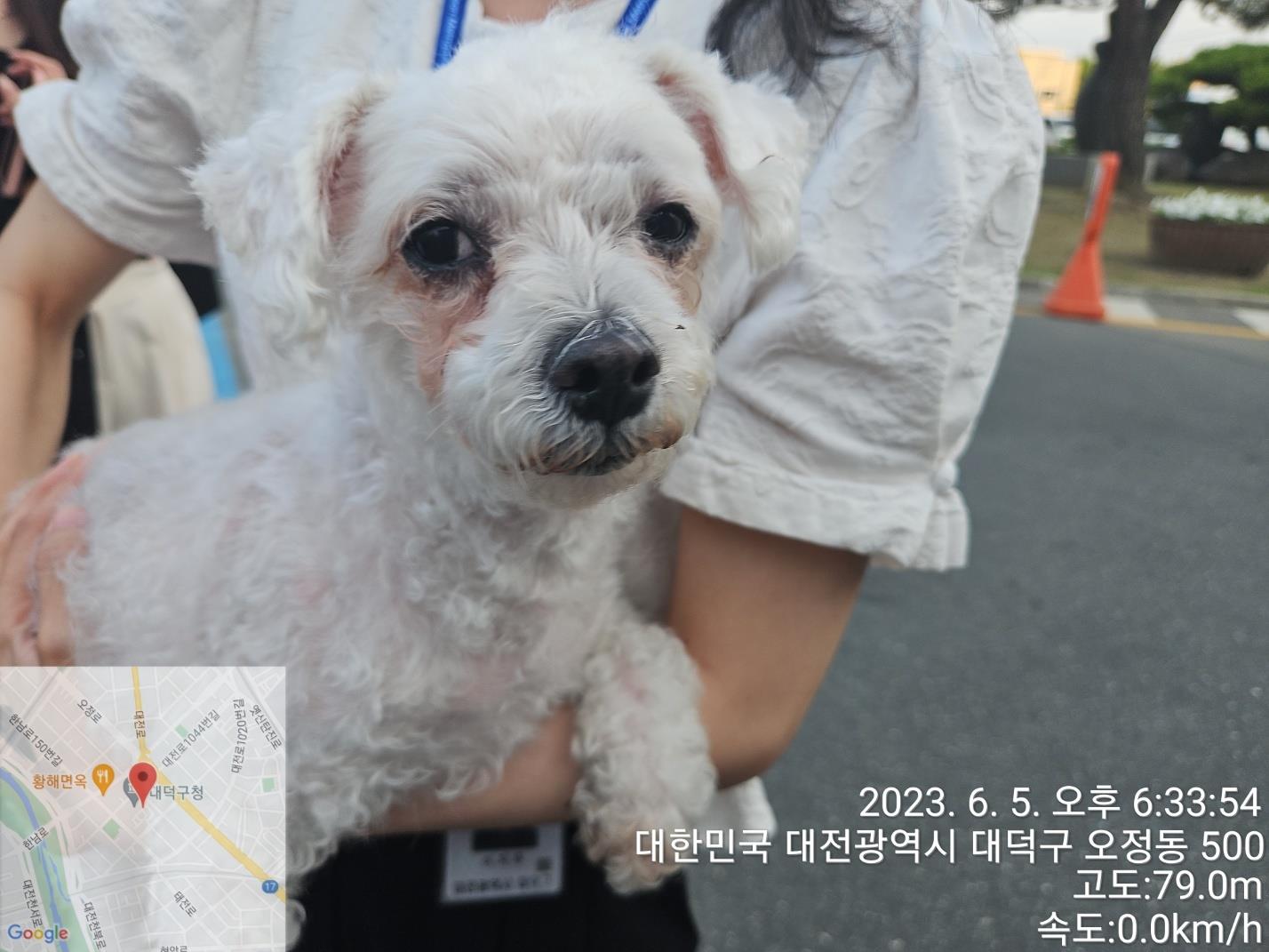 대전동물보호센터_430368202300276