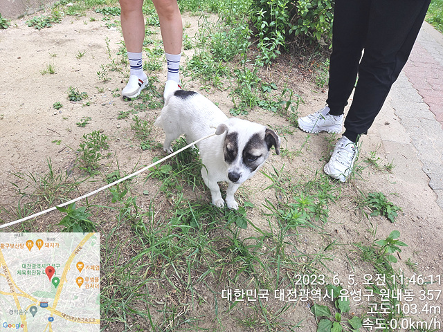 대전동물보호센터_430367202300328
