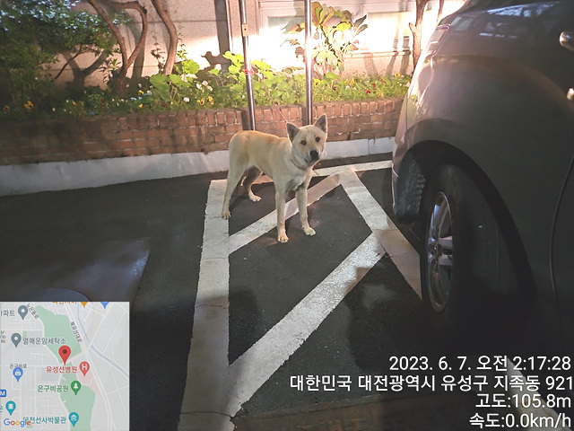 대전동물보호센터_430367202300329