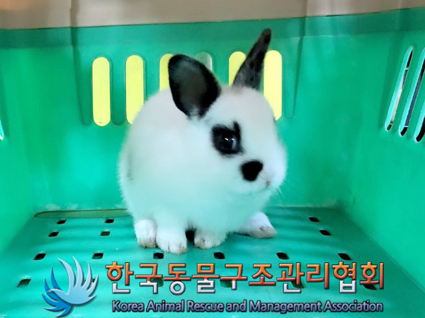 한국동물구조관리협회_411312202300390