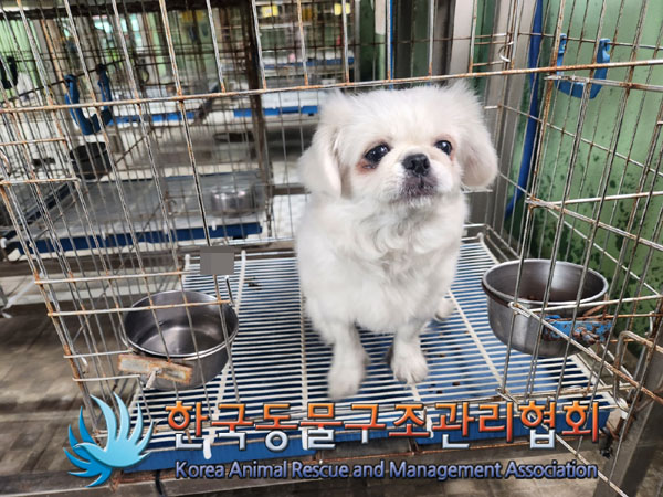 한국동물구조관리협회_441559202300419