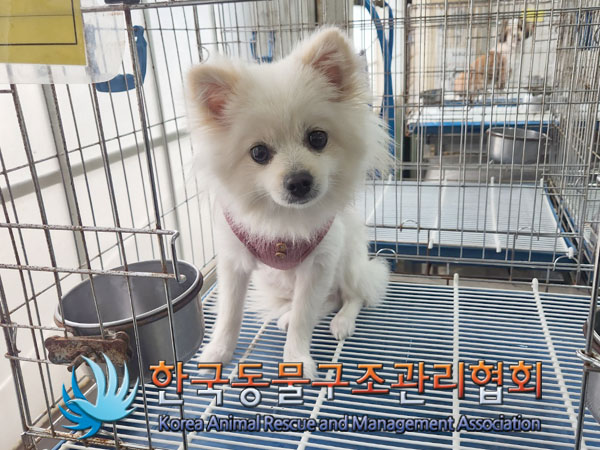 한국동물구조관리협회_411307202300207