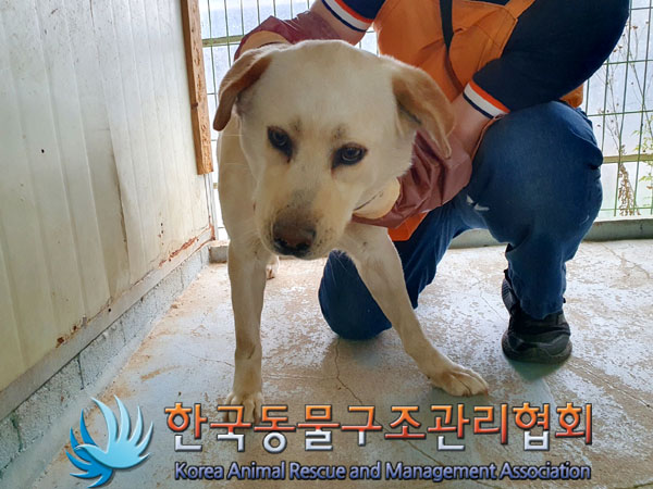 한국동물구조관리협회_441406202300808