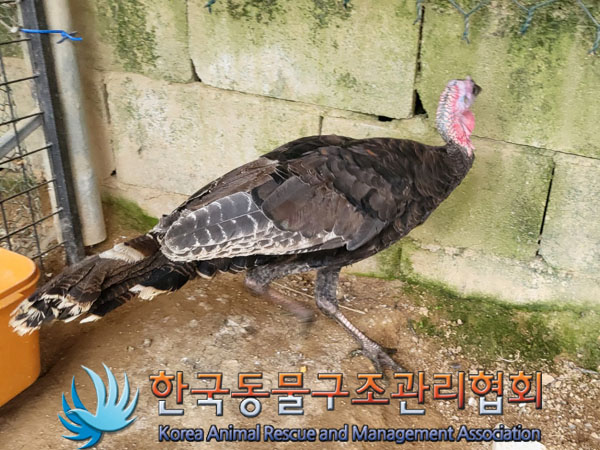 한국동물구조관리협회_411317202300146