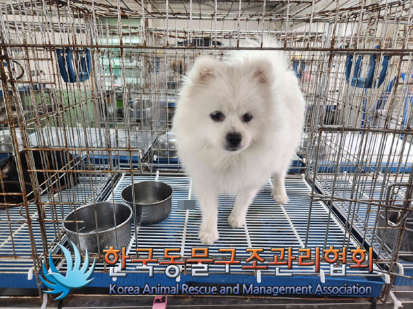 한국동물구조관리협회_441398202300224