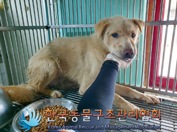 한국동물구조관리협회_441409202300920