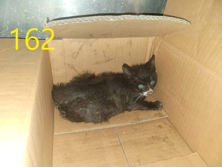 신영재동물병원_428355202300267