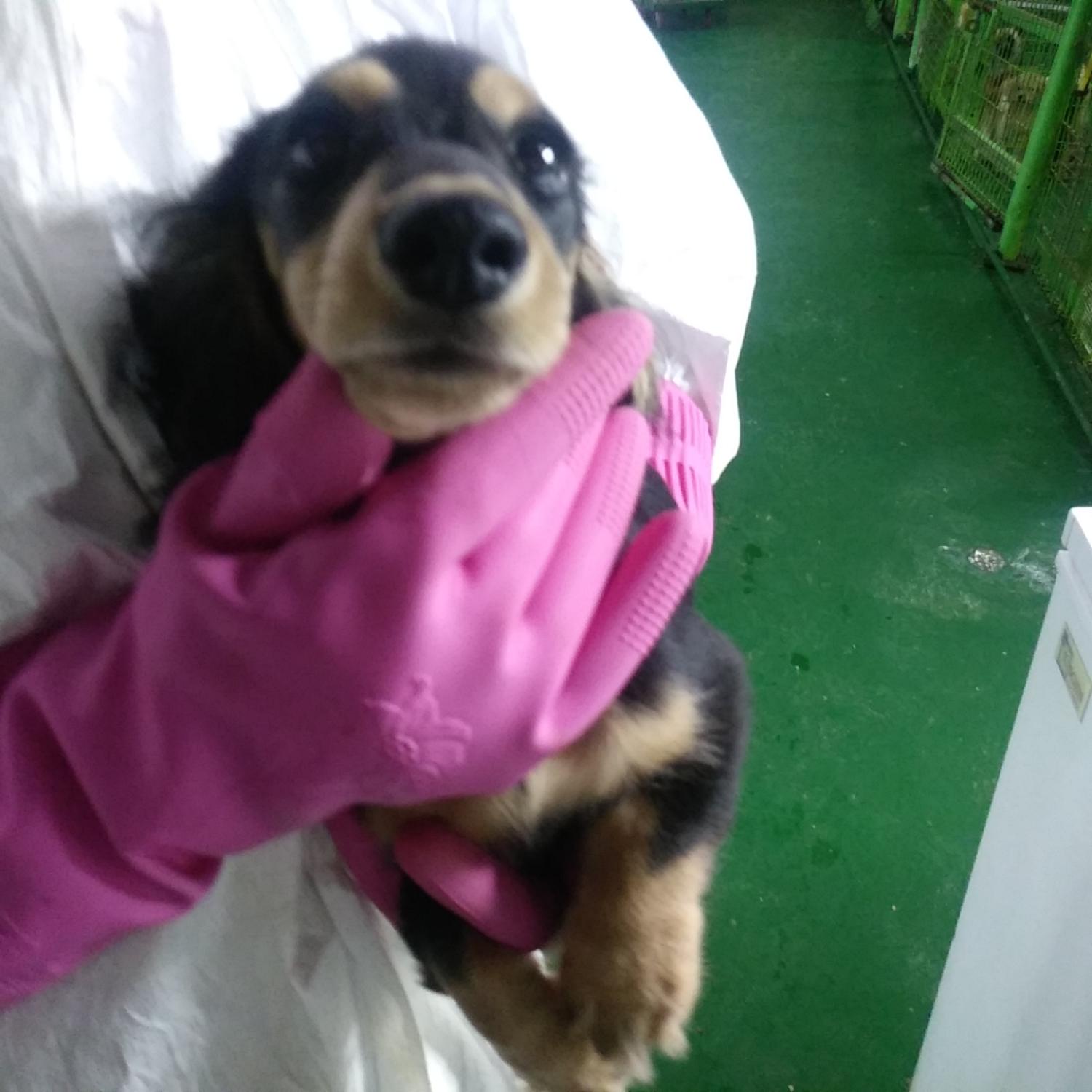 인천광역시수의사회_428353202300746