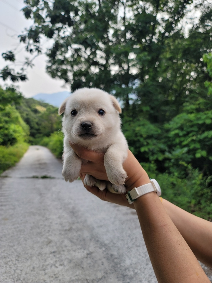 괴산증평동물보호센터_443446202300233
