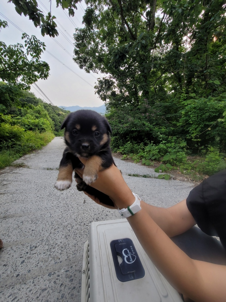 괴산증평동물보호센터_443446202300239