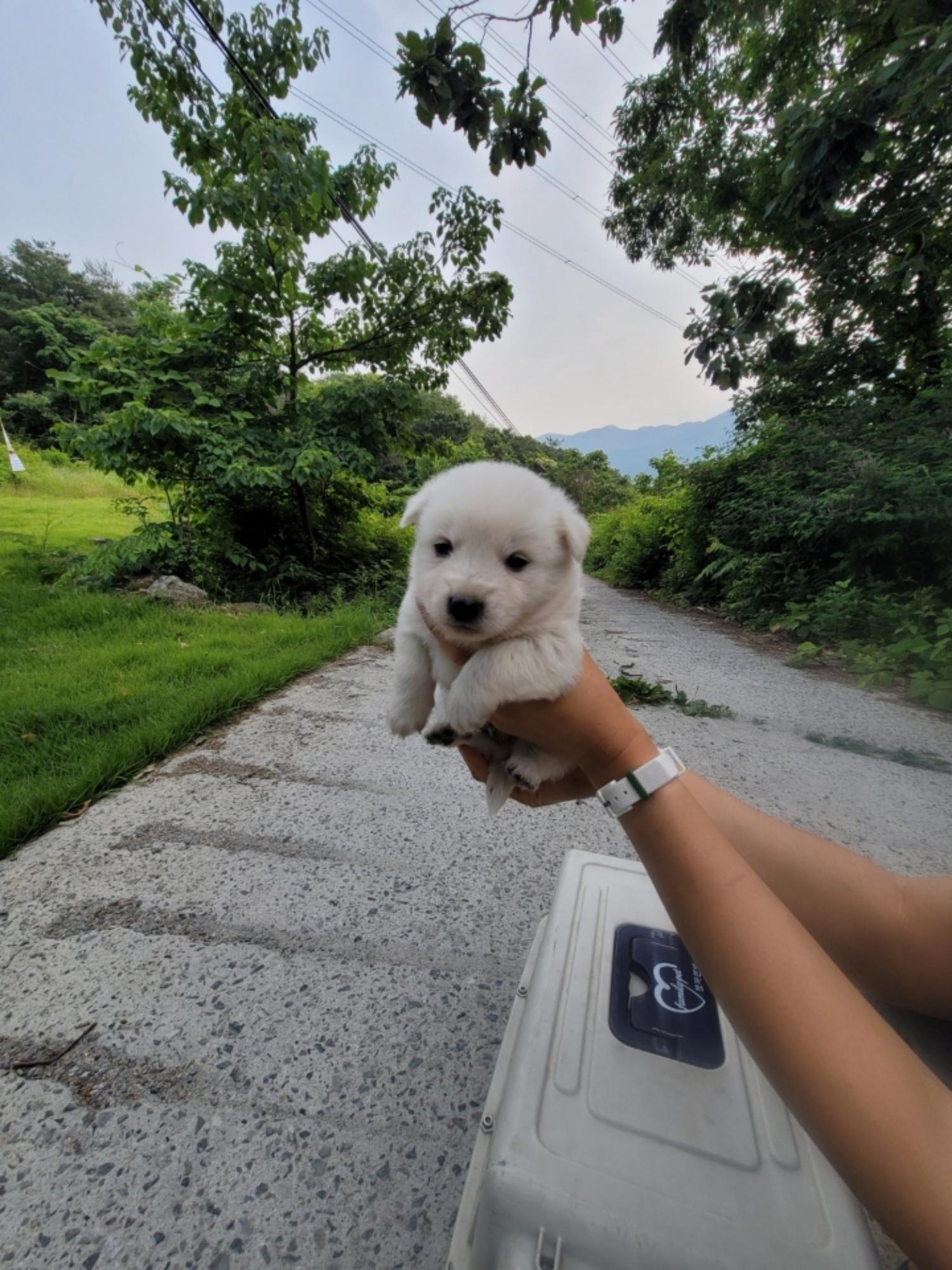 괴산증평동물보호센터_443446202300235