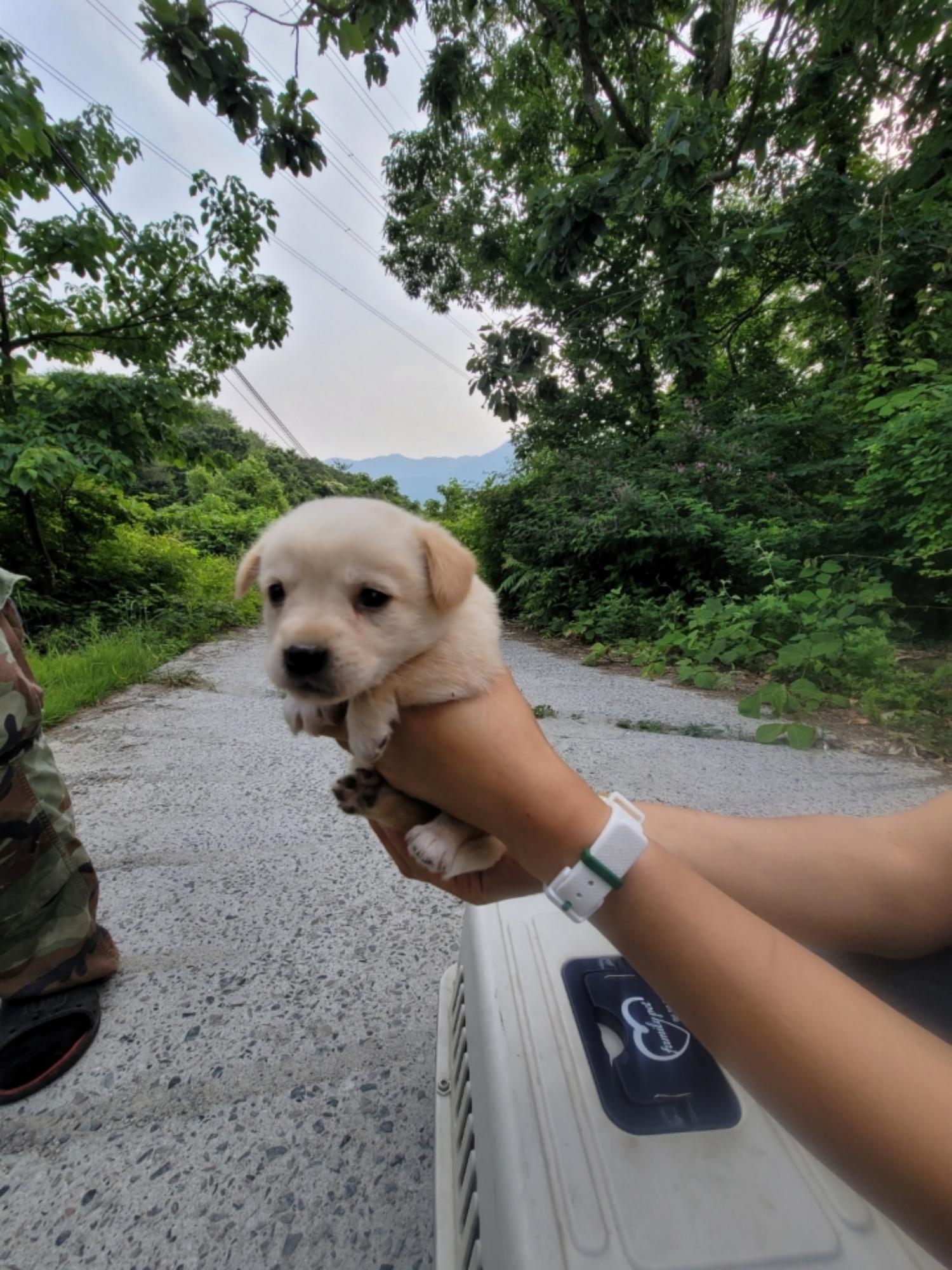 괴산증평동물보호센터_443446202300238