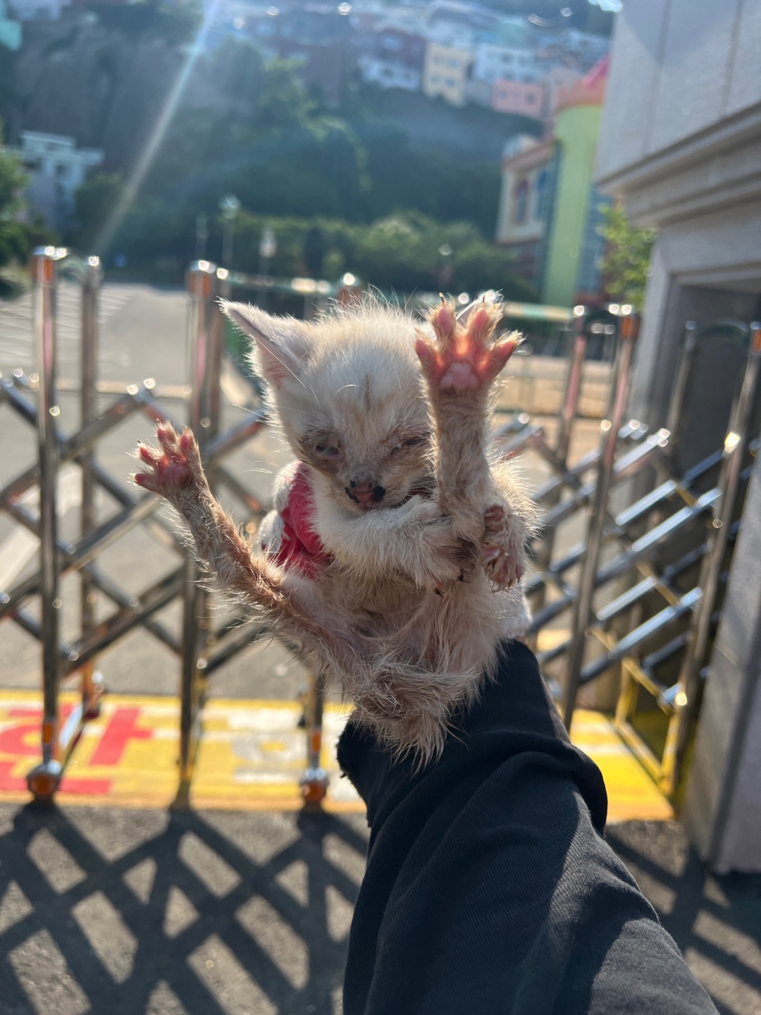 부산동물보호센터_426326202300251
