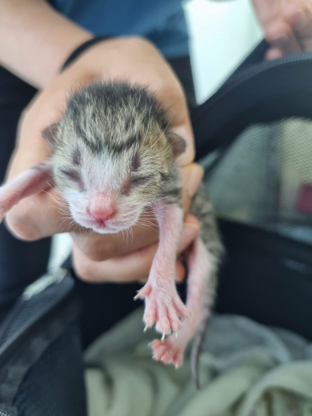 아산동물복지지원센터_444452202301293