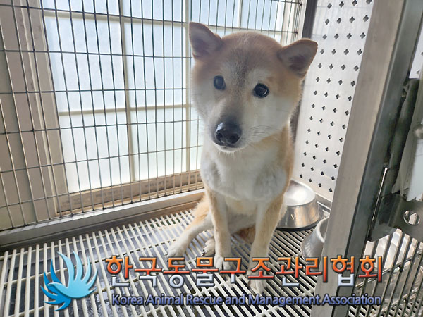 한국동물구조관리협회_411310202300259