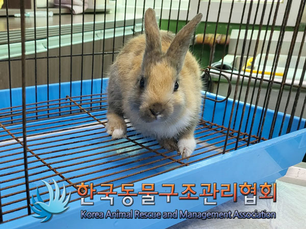 한국동물구조관리협회_411322202300379