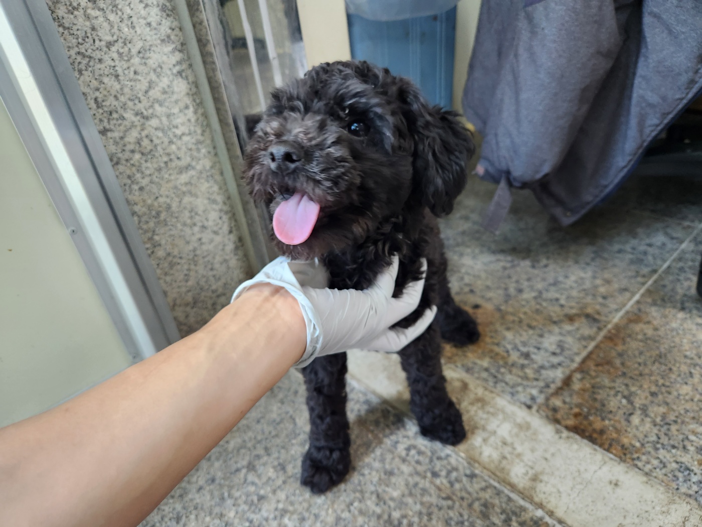 광주 동물보호소_429362202300468